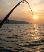 Fishing  at sunset