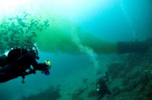 sewage pipe into ocean