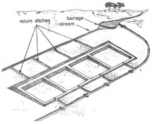 fish farms